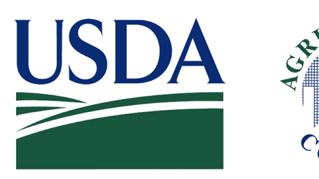 Group Banner Picture